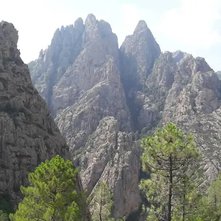 Apartament Les Pieds Dans L'eau 300 M - 2 Piscines Linguizzetta