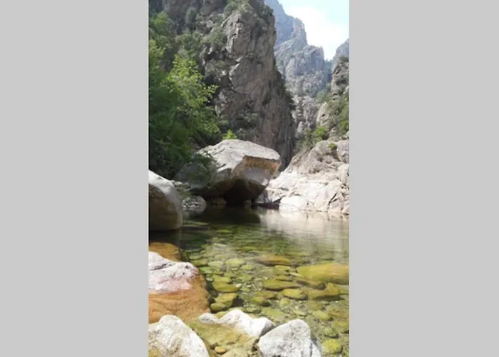 Les Pieds Dans L'eau 300 M - 2 Piscines Daire *