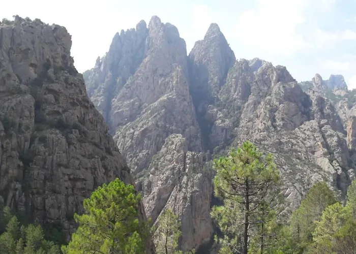 Daire Les Pieds Dans L'eau 300 M - 2 Piscines Linguizzetta