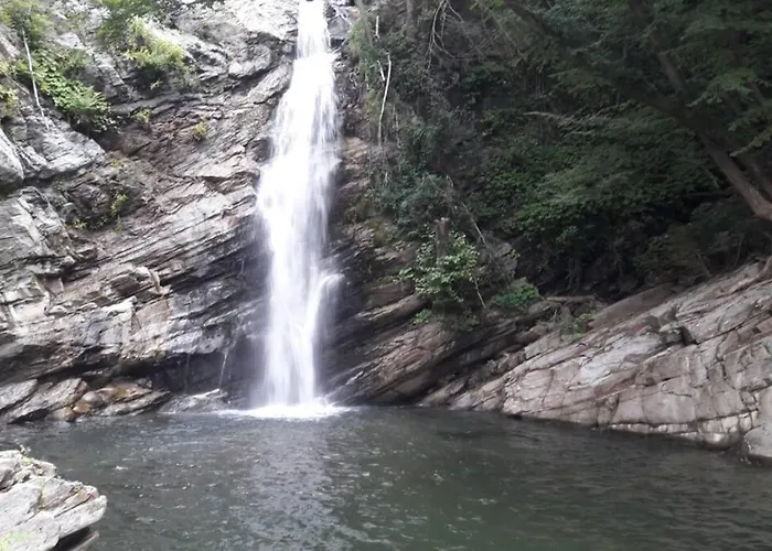 Les Pieds Dans L'eau 300 M - 2 Piscines Daire